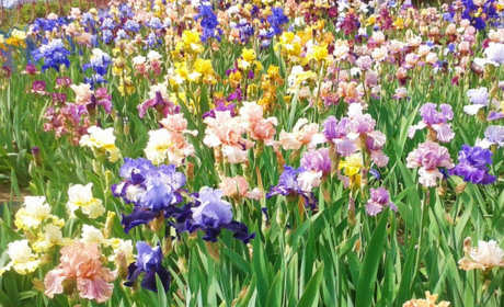 Как провести выходные в Мелитополе с 5 мая по 6 мая