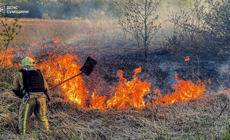 На Шосткинщині введено найсуворіші обмеження на відвідування природи