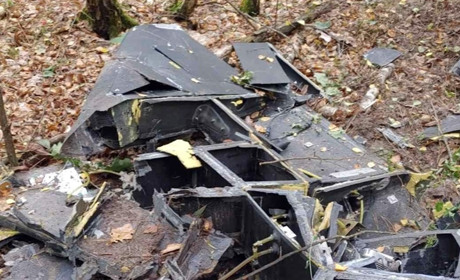 На Житомирщині знешкодили бойову частину російського БпЛА, який впав у лісі: відео