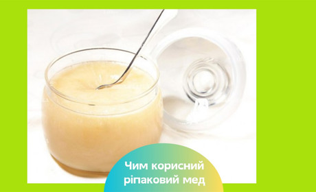 Користь ріпакового меду для здоров’я — від імунітету до шкіри