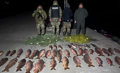 На Дунаї піймали браконьєра