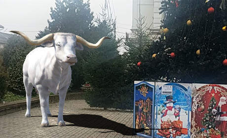 Як «поселити» зоопарк на вулицях міста чи в квартирі за допомогою 3D тварин від Google
