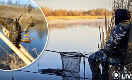 На Житомирщині закінчилась заборона на вилов раків, але для рибалок встановили правила