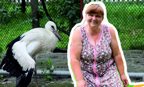 У Довговолі жінка стала мачухою веселику, бо він випав з гнізда