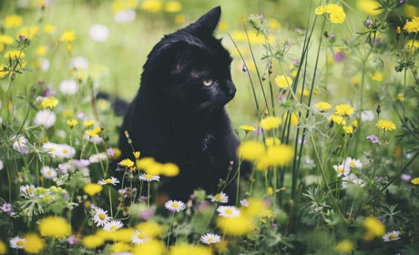 На початку тижня очікуємо на Сумщині пориви вітру та короткочасні дощі: прогноз погоди