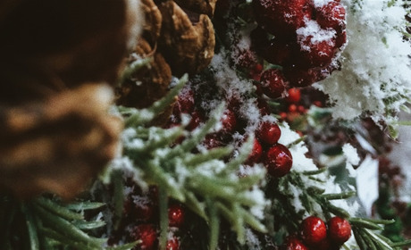 Новорічна міні-казка “Лісова гостя”