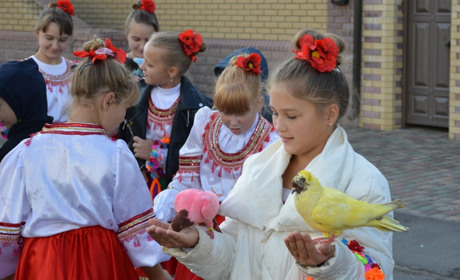 У Сватовому на обласній виставці птахів і тварин випустили в небо 100 поштових голубів