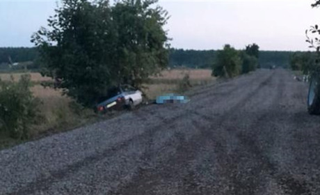 В’їхав у дерево: біля Тартакова загинув водій «дев’ятки». Поліцейські проводять розслідування