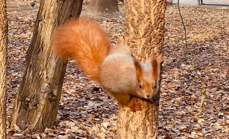 Відчуття реальної нереальності на суботніх пазлах від Мелітополь.Сіty