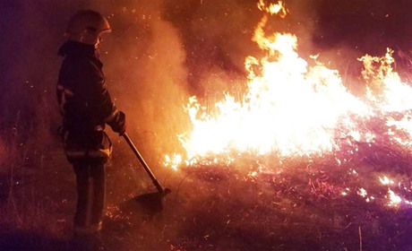 У Заболотті вогнеборці ліквідували загоряння сухої трави