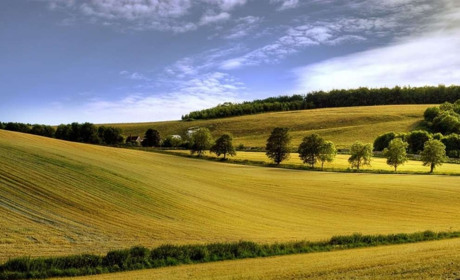 Тиждень в Україні передбачається спекотним. Літечко триває: прогноз синоптиків