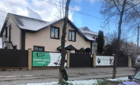 У Переяславській громаді виявили скаженого кота: ветклініки безкоштовно вакцинують тварин