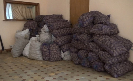 Шосткинці за два дні зібрали кілька тонн картоплі для мешканців Чернігова і Харкова
