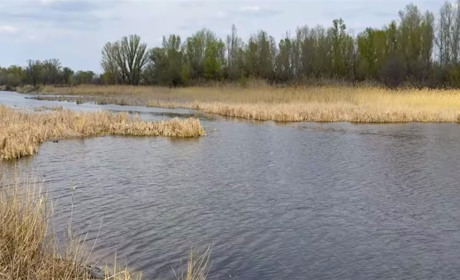 Як руйнування Каховської ГЕС вплинуло на річки,, що впадають у Дніпро