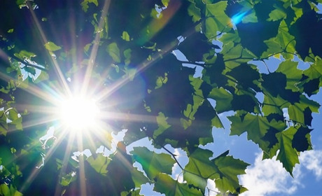 Погода в Старокостянтинові на 19-25 серпня: спека повертається