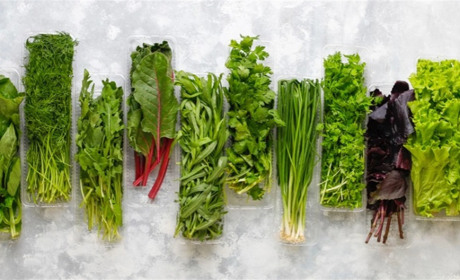 Як зберігати зелень свіжою тиждень: прості лайфхаки