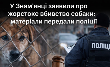 У Знам’янці заявили про жорстоке вбивство собаки: матеріали передали поліції