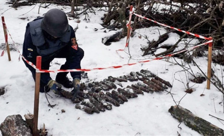 У лісі поблизу Рівненської АЕС знайшли снаряди часів Другої світової війни