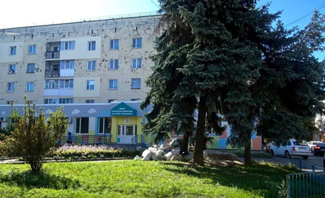 Звягелян попередили про зрізання трьох ялин поруч з центром реабілітації для дітей з інвалідністю