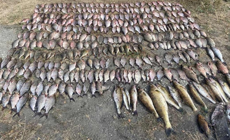 На Ржищівщині затримали браконьєрів: чоловіки «нарибалили» майже на 700 тисяч гривень