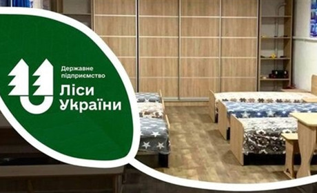 Лісівники України готові прихистити постраждалих внаслідок підриву Каховської ГЕС. Куди звертатись?