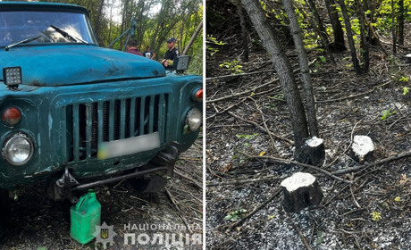 Білопільські поліцейські викрили чоловіка у незаконній порубці деревини
