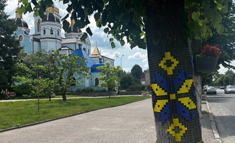 До Дня міста дерева у центрі Звягеля прикрасили вишиванками