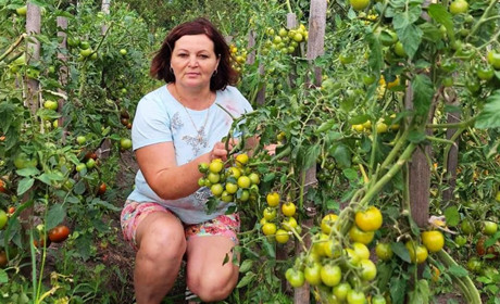 Аджика перцева, яка всім до смаку. Рецепти консервації від корюківчанки Людмили Купрієнко