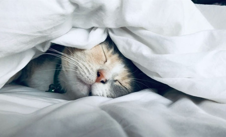 Ночі обіцяють бути морозними: прогноз погоди на початку наступного тижня