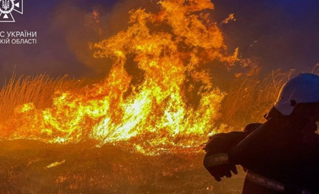 Одеські рятувальники ліквідували в місті пожежу на полях зрошення: горіло 3000 м2 сухої трави