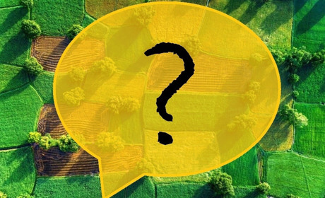 Продавать украинскую землю или нет? Рассказывают бердянцы