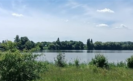 Погода у Нетішині та в області на 5 червня