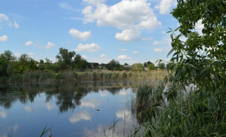 Неприємний запах із Загребельського ставу: що виявила комісія міськради після скарг місцевих жителів