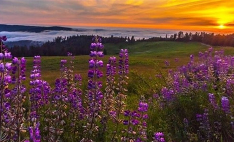 Офіційні вихідні у червні 2022 - календар на місяць