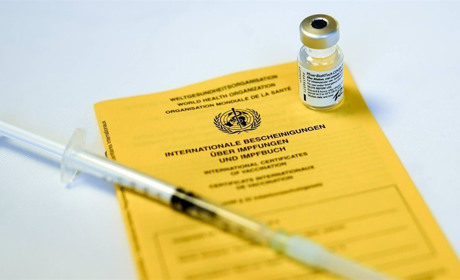 Як жителям Білопільщини отримати документ про вакцинацію, якщо вони переїхали в межах країни