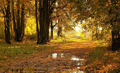 Дощі, дощі... Яку погоду прогнозують синоптики на вихідні 25-26 жовтня