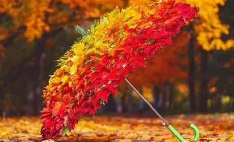 Погода на Сумщині на першу половину тижня