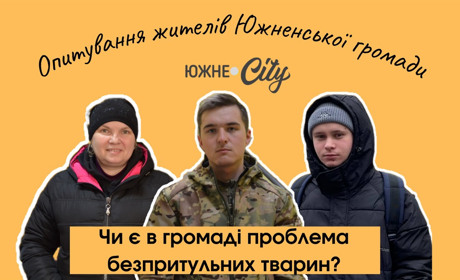 Жителі Южного розповіли про проблему безпритульних тварин у місті