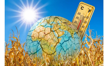 В неділю на Сумщині - плюс 37... Прогноз синоптиків на найближчі дні