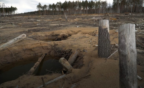 Репортаж із «бурштинових» сіл: чому легальний видобуток «сонячного» каменю досі нелегальний