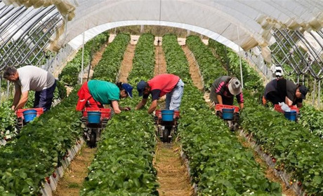 Чому освітяни тікають за кордон