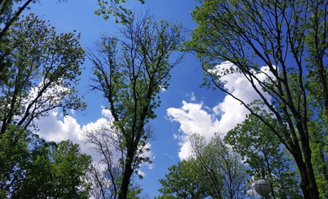 Страсний тиждень, Великдень та інші свята: календар на травень 2024