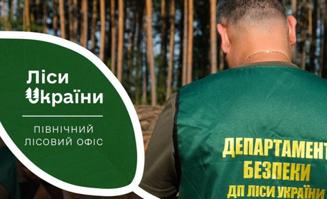 У філіях Північного лісового офісу «Ліси України» провели внутрішні перевірки. Які результати?