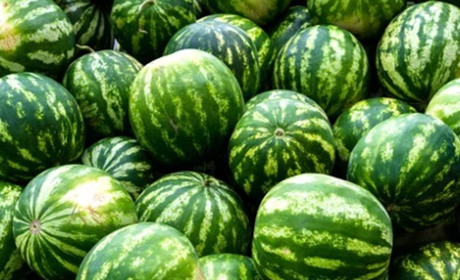 Нітрати, обман і нестача вибору: що відбувається з баштанними на ринку Нової Каховки