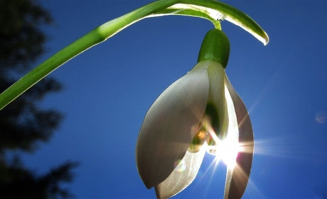 У середу синоптики обіцяють потепління. Якою буде погода на Сумщині та Білопільщині?