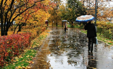 З понеділка на Сумщині стане прохолодніше, а в середу синоптики прогнозують дощі