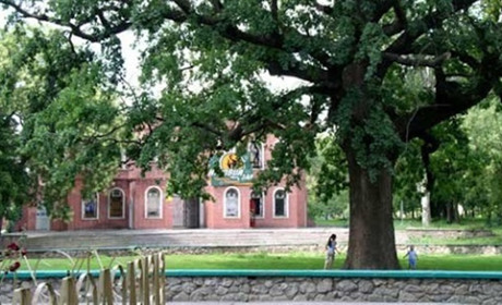 «Славетні» порушення КП «Парки Херсона»: від Зеленого театру до прихованих закупівель