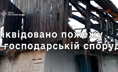 Покрівля хліва зайнялася вогнем: на Звягельщині рятувальники ліквідували пожежу