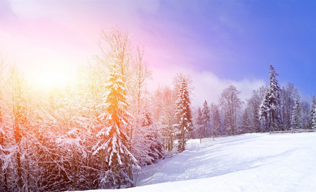 Чим запам'яталась ця зима, крім температури. Яскраві події минулих трьох місяців