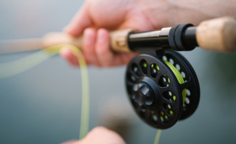 На острові біля Нової Каховки облаштують туристичний центр